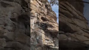 Скальники Ворона и Шахтай-камень Иркутская область ⛰