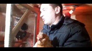 СИБИРСКАЯ МОХНОНОЖКА