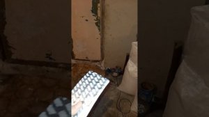 Как избавиться от паразитов у лошадей в данном случае глистов! "Альбен" одна таб на 50кг живого вес