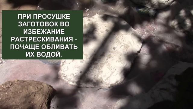 КАМНИ ДЛЯ ДОРОЖКИ В САД, МОЖНО СДЕЛАТЬ САМИМ! смотреть онлайн