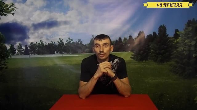 #Бездомные животные.