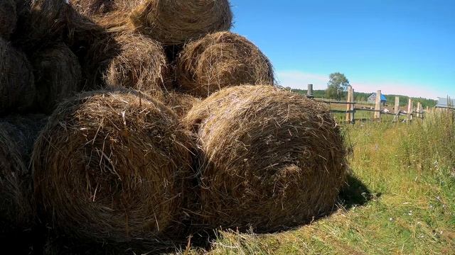 СЕНОКОС 2020. смотреть онлайн