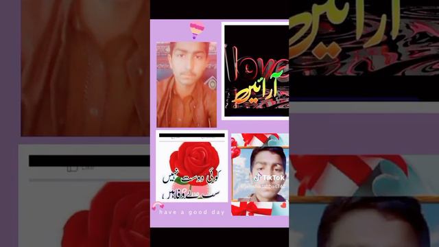 jamshad Abbas jhang ala(1)