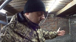 Бизнес идея! Черви- ДЕНДРАБЕНА!! Помещение для разведения червя! Часть 2