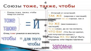 Будут ли мыши есть пенопласт