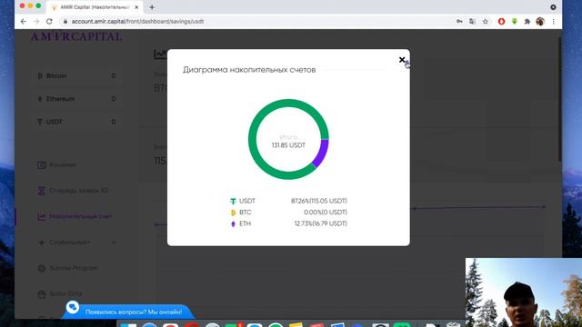 Обзор фонда AMIR CAPITAL. Стоит ли инвестировать?