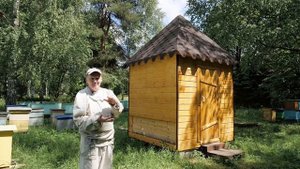 Городецкий апидомик