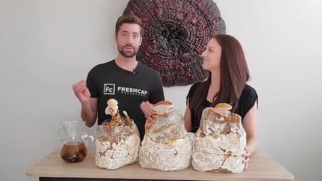 Reishi Mushroom Is So Freaking Cool (Ganoderma Lucidum) - FreshCap Friday Live July 3, 2020 смотреть онлайн