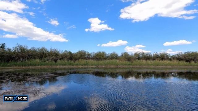 Атаки Змееголова 2022, Кураксу, Рыбалка на Змея, Рыбалка в Талдыкоргане, Дикая МОЯ Рыбалка микс кз смотреть онлайн
