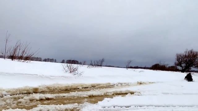 Тайга Атака и Скидо по наледи смотреть онлайн