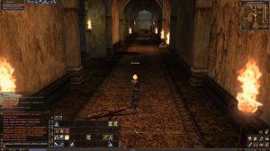 Lineage 2 Classic . Зацикленные Макросы.