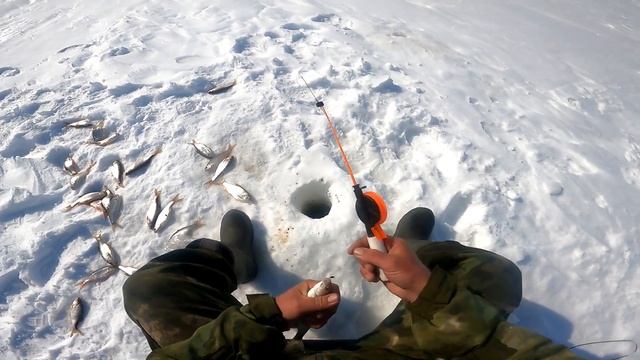 Весенний бешеный клев на озере Чаны! смотреть онлайн