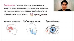 Рудименты и атавизмы за 4 минуты | Биология ЕГЭ | Biocoma