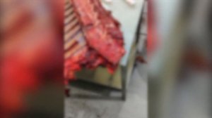 Разделка лося с отделением лопатки, шеи, окороков, барабанов