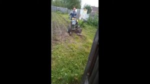 Косилка ботвы картофеля в работе