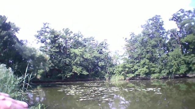 Ловля пикером мирной рыбы . Шаг 1 . смотреть онлайн