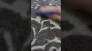 Как почистить ковер от пятен! Диск инволвер! Greenway Гринвей