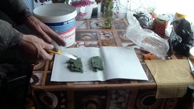 Обработка кустов винограда ЖЕЛЕЗНЫМ КУПОРОСОМ . смотреть онлайн