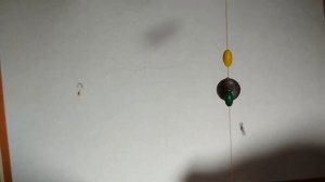 Донка "Тычок" на плотву.