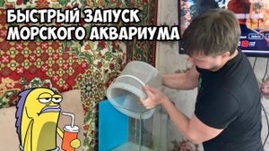 Как быстро, просто и не дорого запустить морской аквариум!