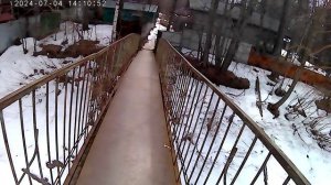 Поездка на Горбатый мост