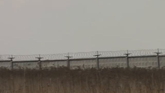 Transaero UUDD and Vitek VT-3583GY смотреть онлайн