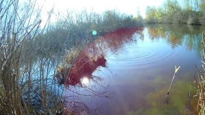 Ловля поплавочной удочкой весной. Секреты прикормки.