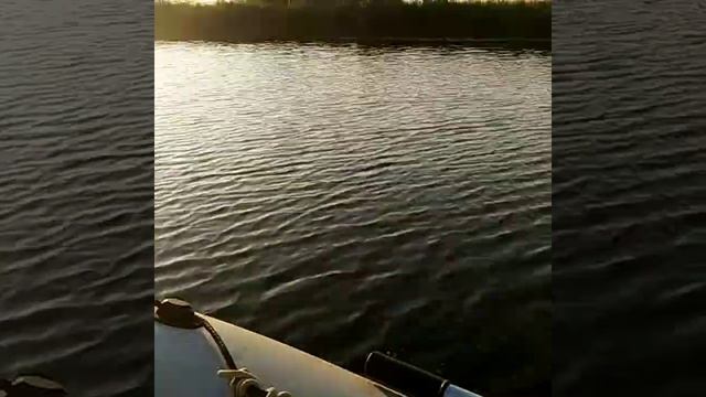 Река Елань смотреть онлайн