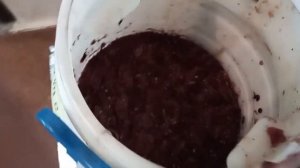 МЕЗГА из винограда ИЗАБЕЛЛА  забродила в назначенный срок