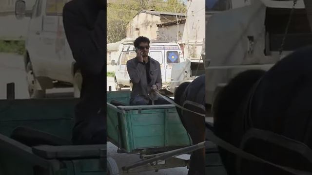 Альбина, не мучай его!?? Машина есть, квартира тоже! @дагестан @юмор.