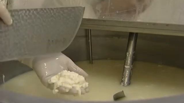 Дмитровские сыровары
