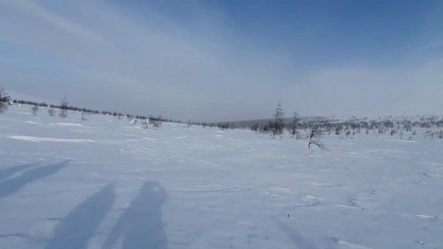 18 марта 2023 г. смотреть онлайн