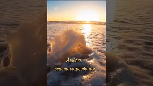 Карточка видео
