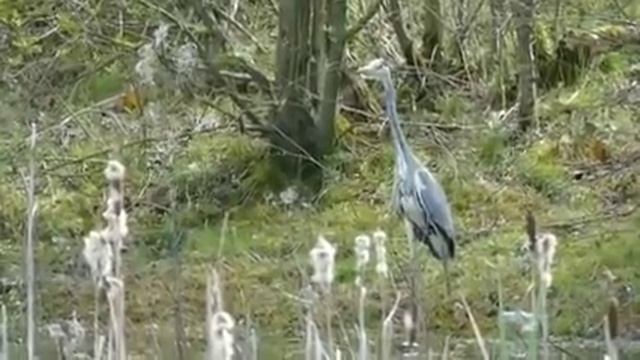 Появится группа оперативного реагирования... смотреть онлайн