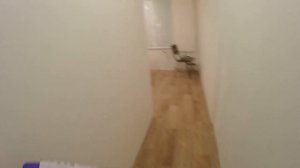 Обзор на плитку "Forest" медовый из Леруа Мерлен