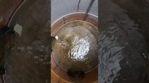 Бюджетный вариант дренажа на сыром участке