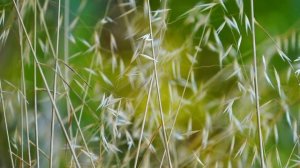 Христианские песни - Восседай на троне славы / В хвале перед Тобой