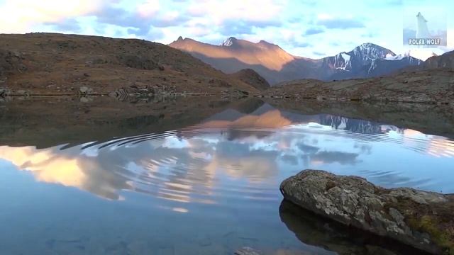 ЛУННЫЙ КАЛЕНДАРЬ НА 7 МАРТА 2022 ГОДА. ОБЩИЕ РЕКОМЕНДАЦИИ ДЛЯ ВСЕХ ЗНАКОВ ЗОДИАКА смотреть онлайн