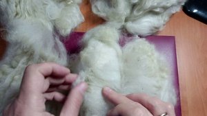 Три вида пуха. Обзор и сравнение