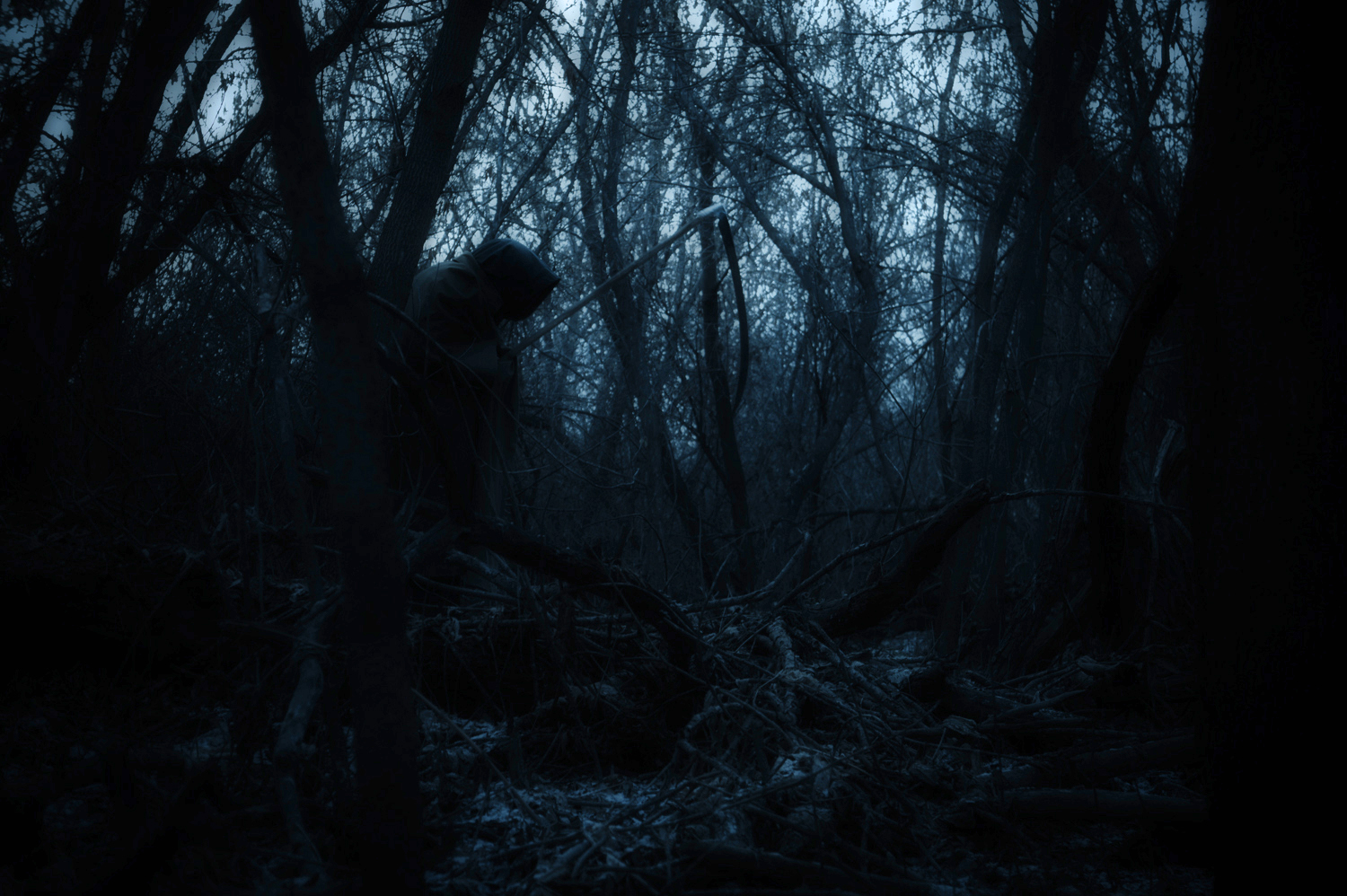 Кошмар дачи. Страшный лес ночью. Лес темный страшный. Ночной лес хоррор. Лес мистика.