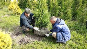 «СЕТКАКОМ»: производство сеток для упаковки комов деревьев