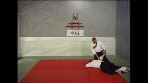 Коса дори коте гаеши омоте