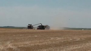 Выгрузка комбайнов  на ходу, бункером-перегрузчиком Лилиани.