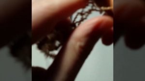 Что связать из буклированной пряжи? Всё, что угодно, только возьмите крючок побольше!