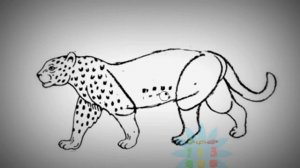 УЧИМСЯ РИСОВАТЬ ЖИВОТНЫХ