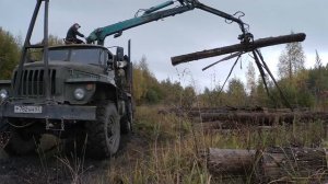 Урал 5557 лесовоз. Погрузка липы.