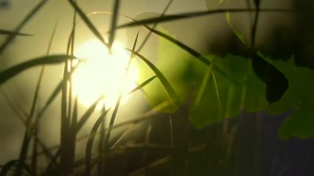 Медитация - Разговор с Богом смотреть онлайн