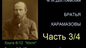 " Братья Карамазовы " - Часть 3/4 - Книга 8/12 - Глава 5/8
