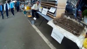 Птичий рынок в Краснодаре 04.06.2017г.