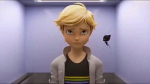 [Леди Баг и Супер Кот] ~ |Любишь, люблю! Докажи, докажу!|